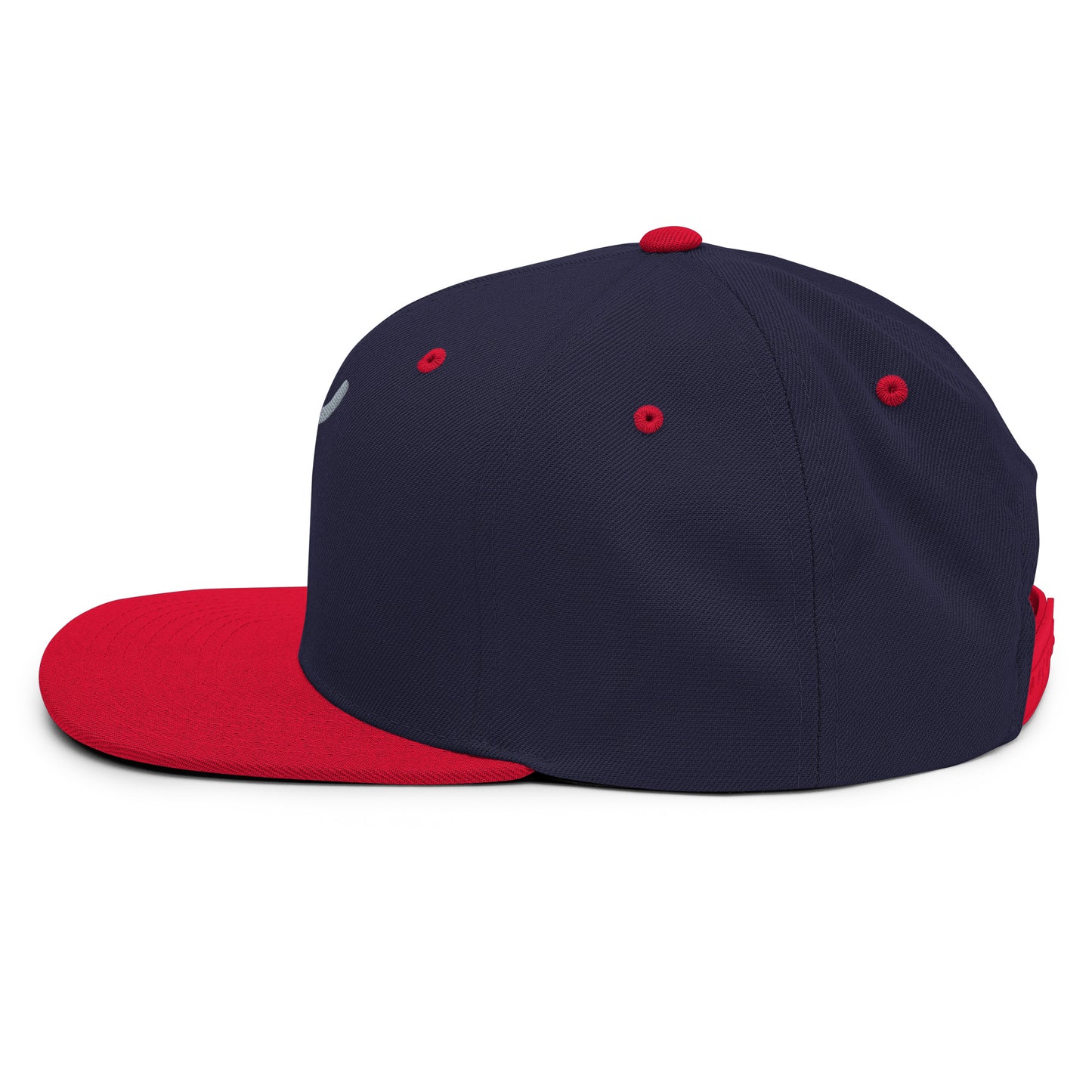 The Plug (Grey) - Snapback Hat