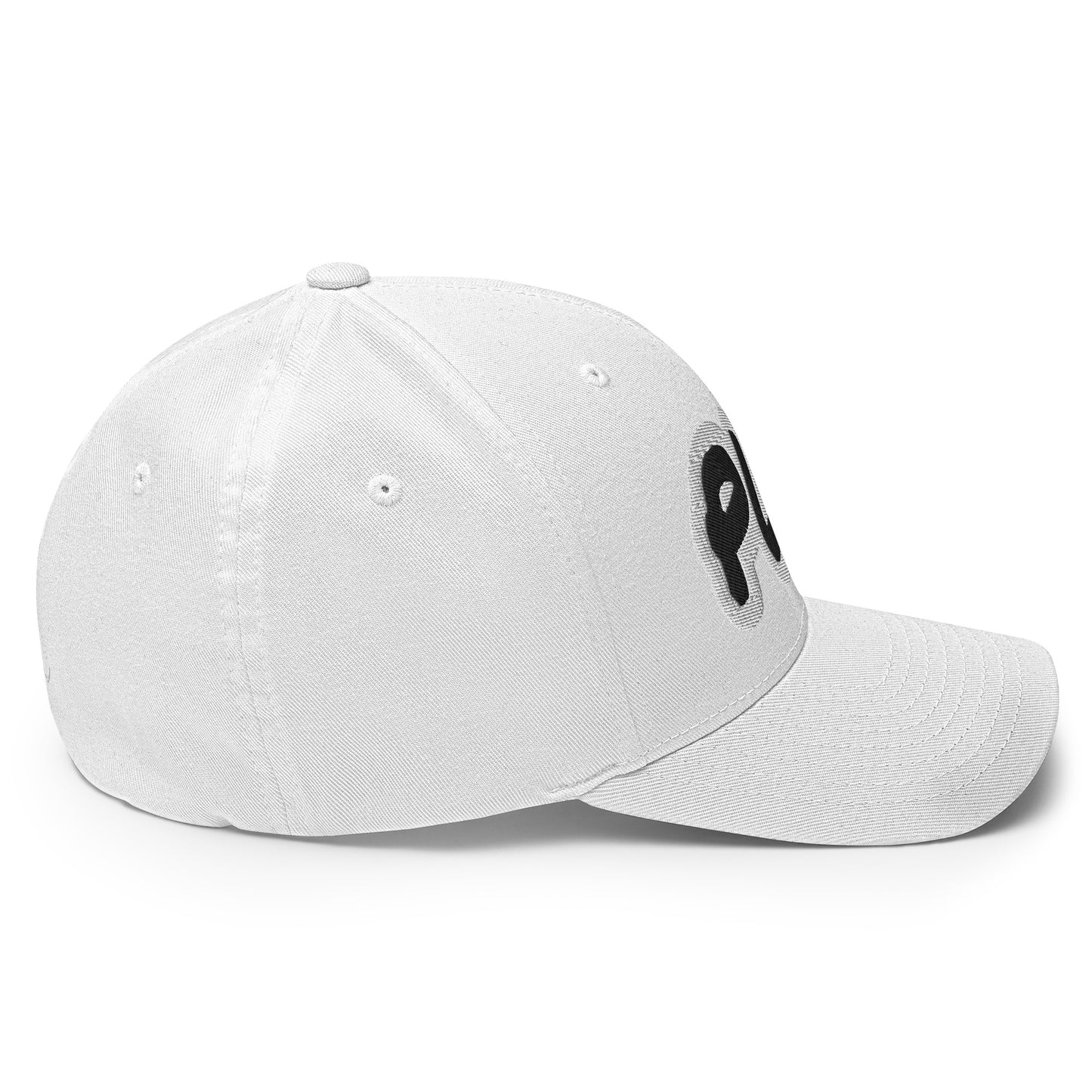 PLG (LL-Black) Flexfit Cap