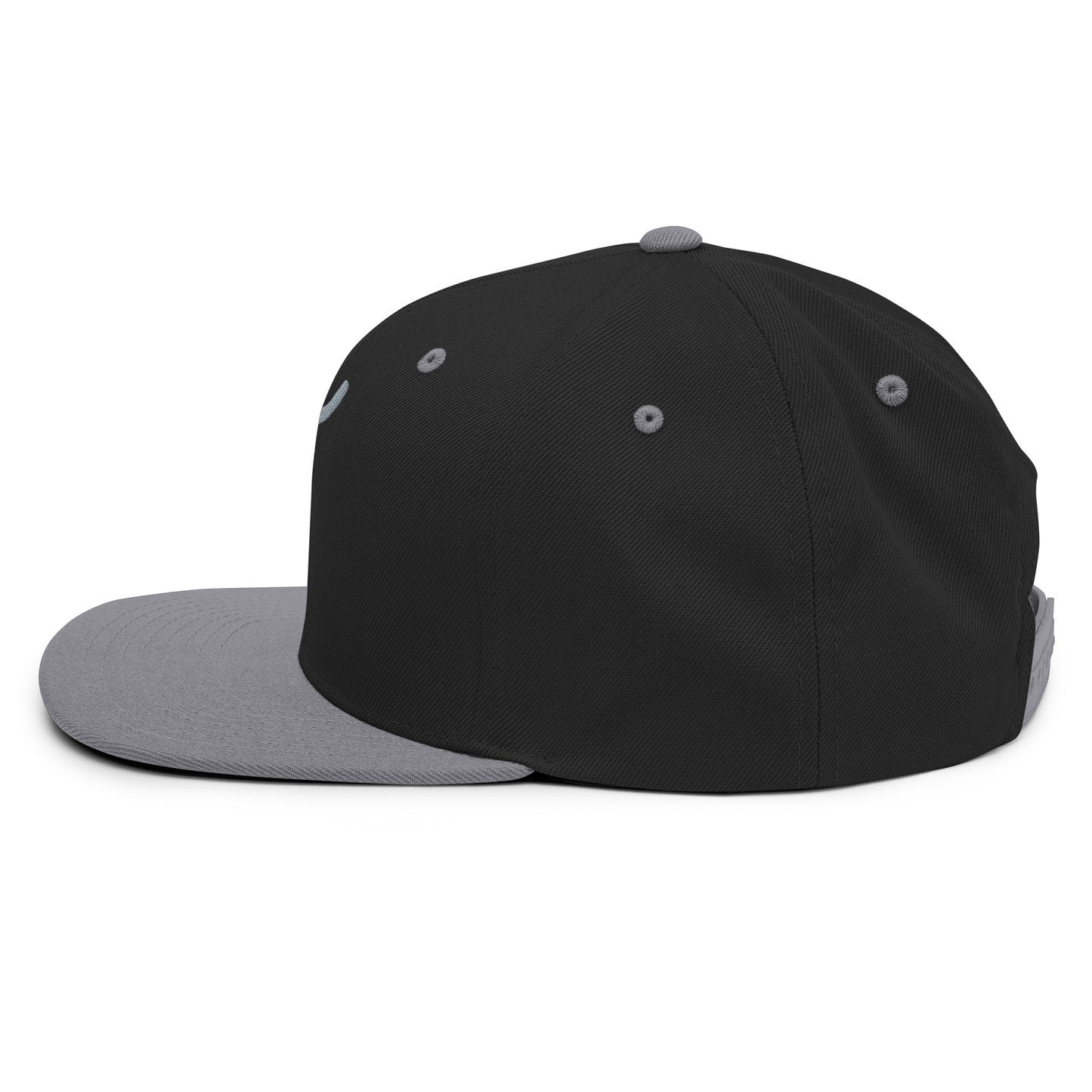 The Plug (Grey) - Snapback Hat