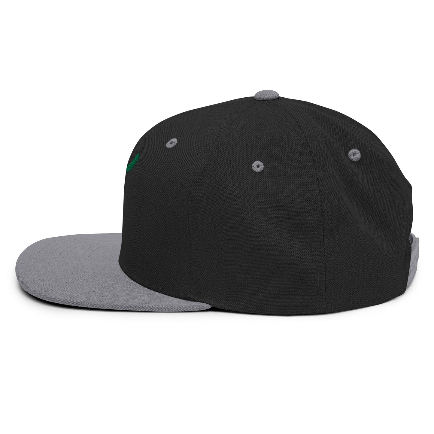 The Plug (Green) - Snapback Hat