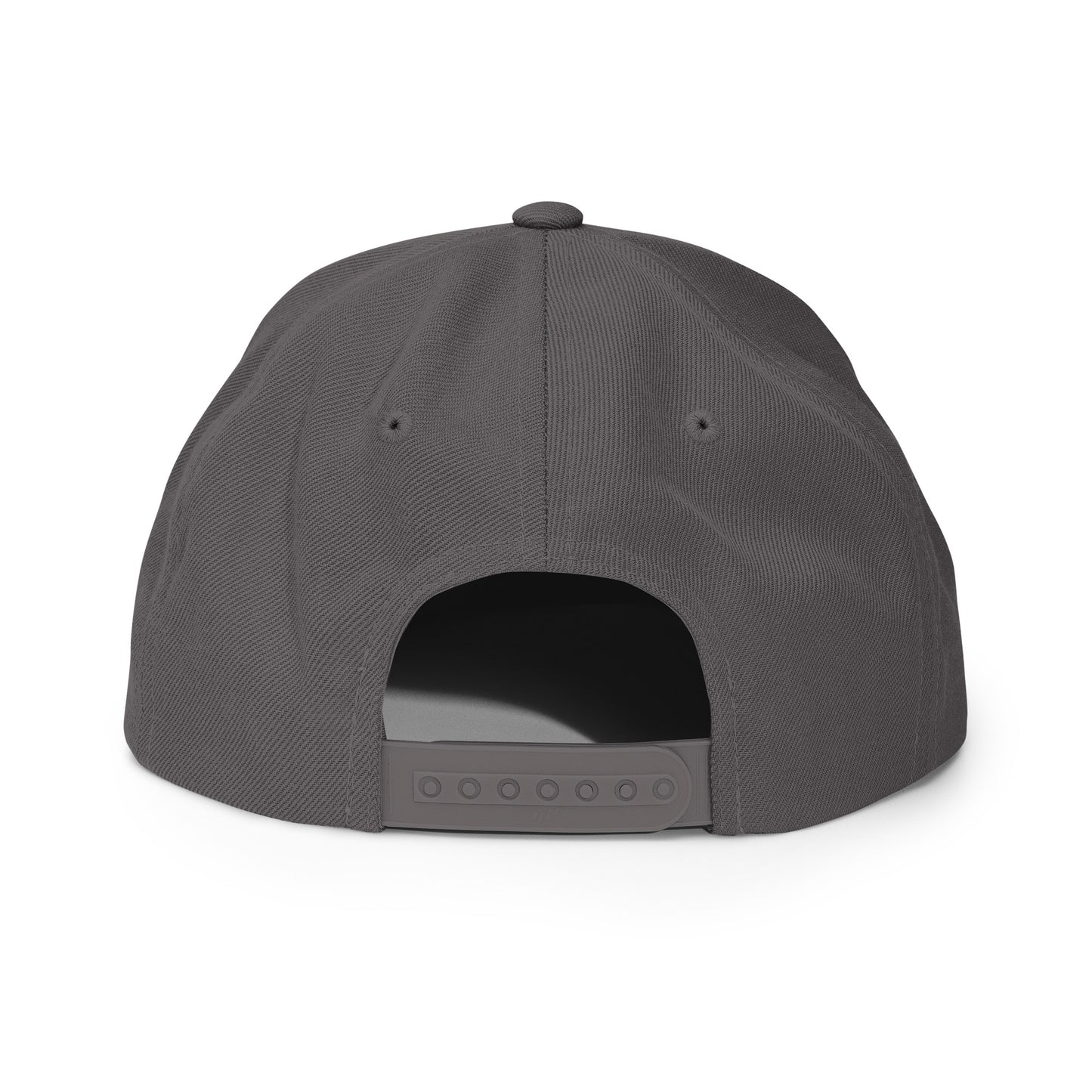 The Plug (Black) - Snapback Hat