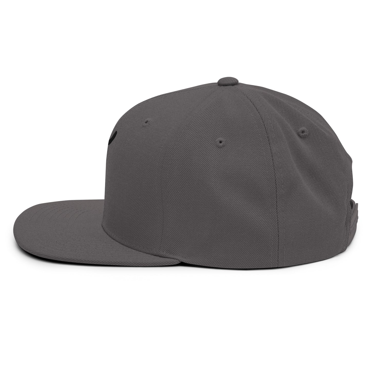 The Plug (Black) - Snapback Hat