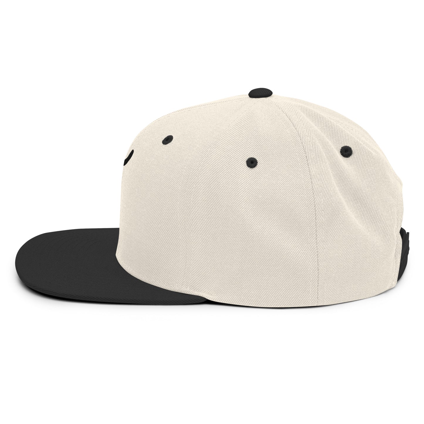 The Plug (Black) - Snapback Hat