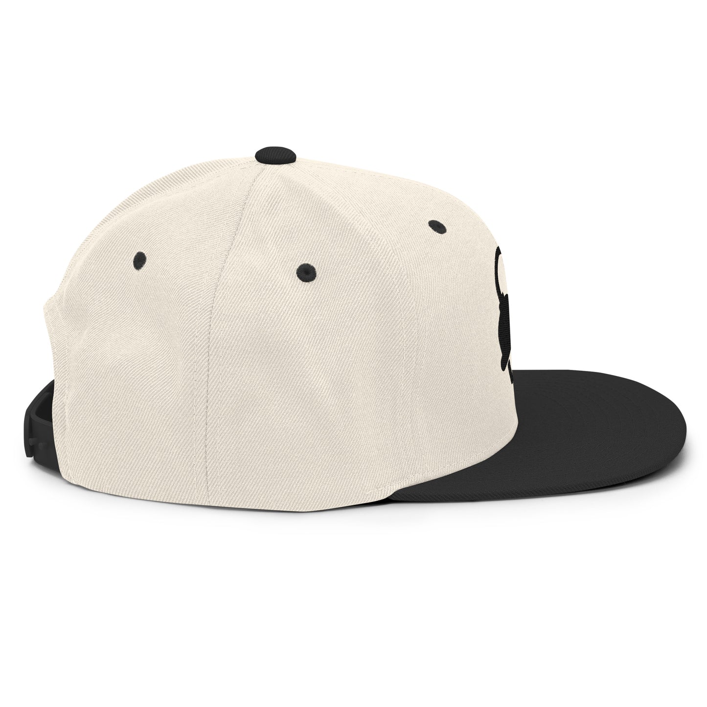 The Plug (Black) - Snapback Hat