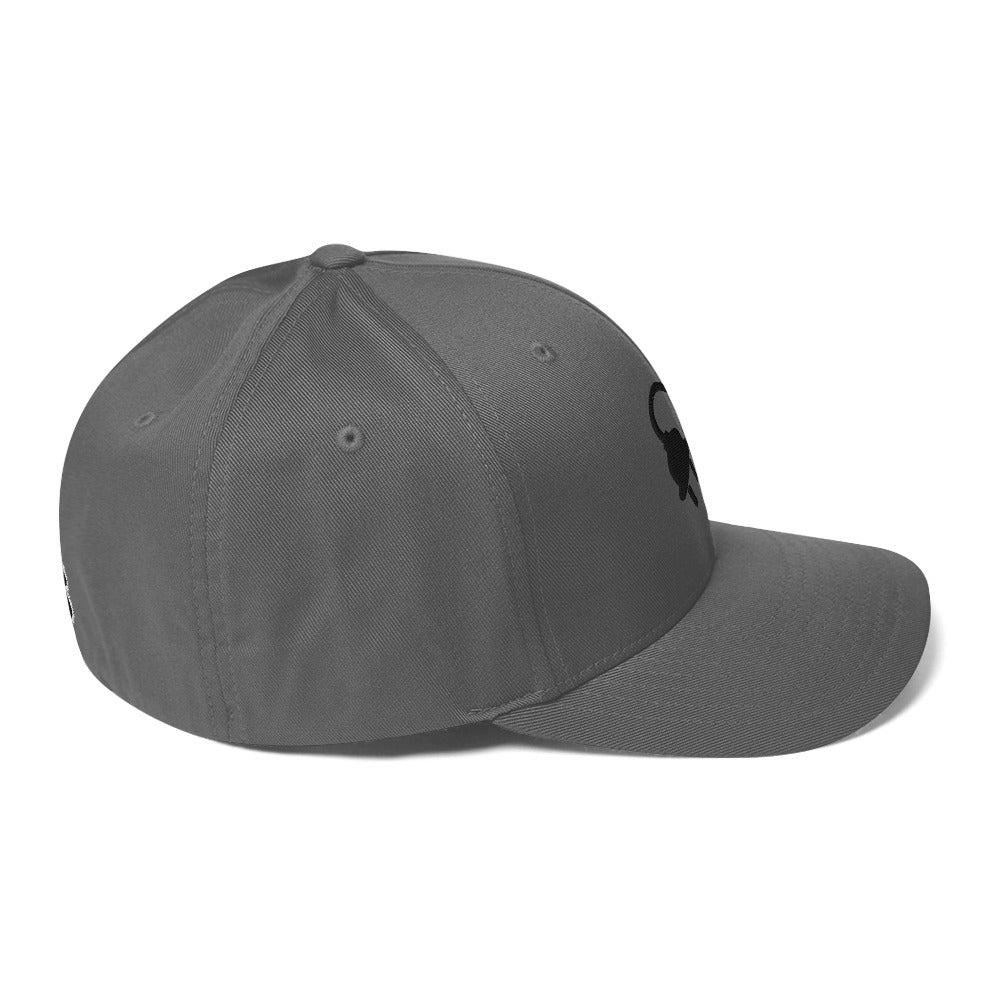 The Plug (Black) FlexFit Cap