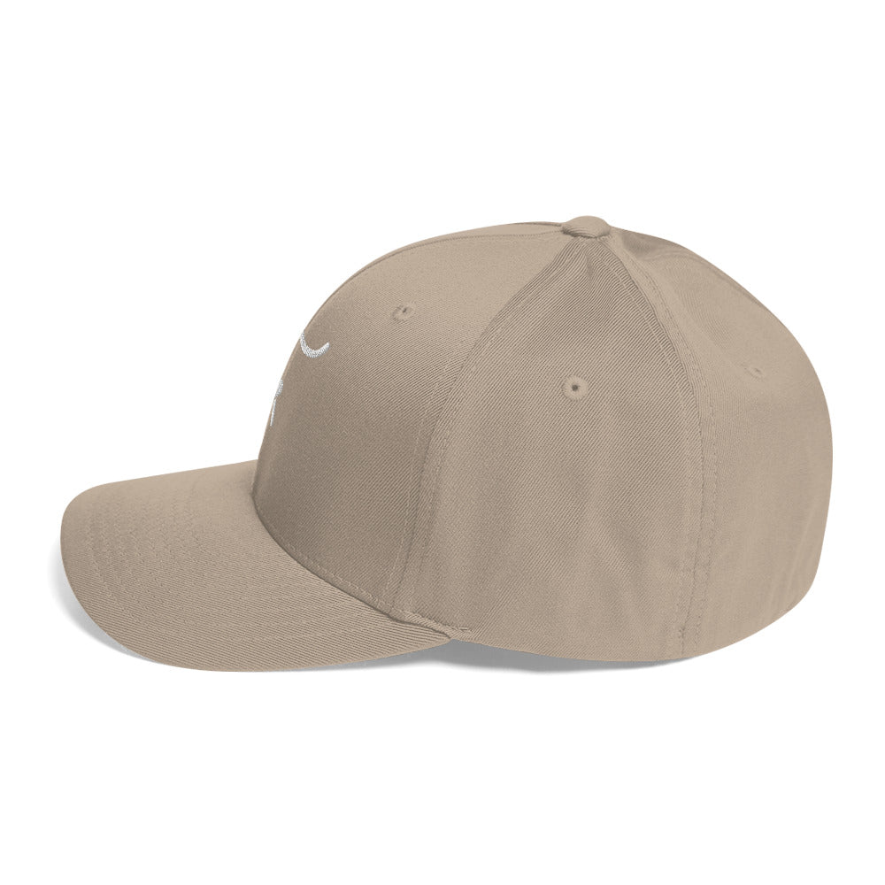 The Plug (White) FlexFit Cap