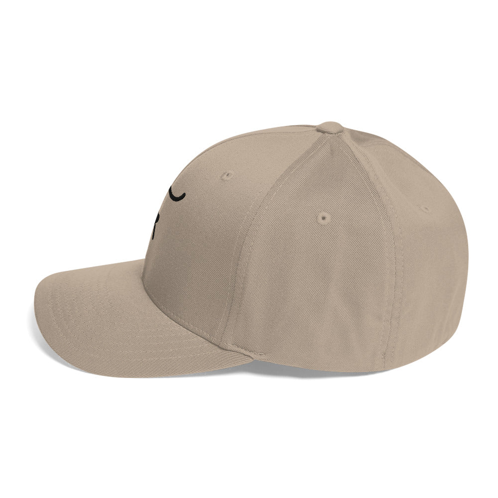 The Plug (Black) FlexFit Cap