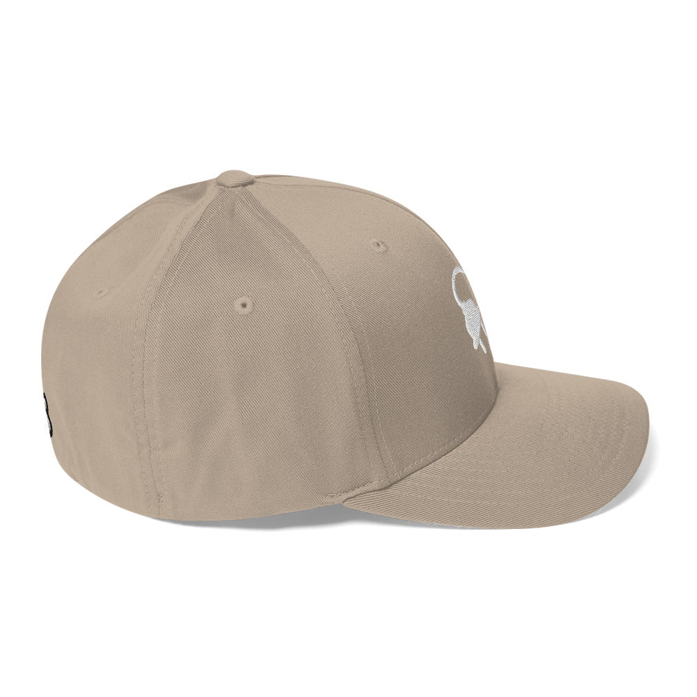 The Plug (White) FlexFit Cap