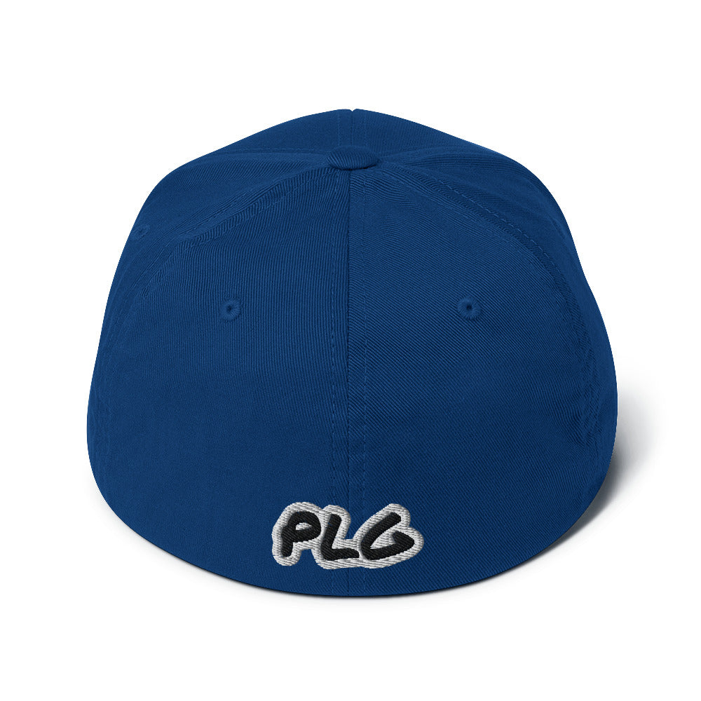 The Plug (Black) FlexFit Cap