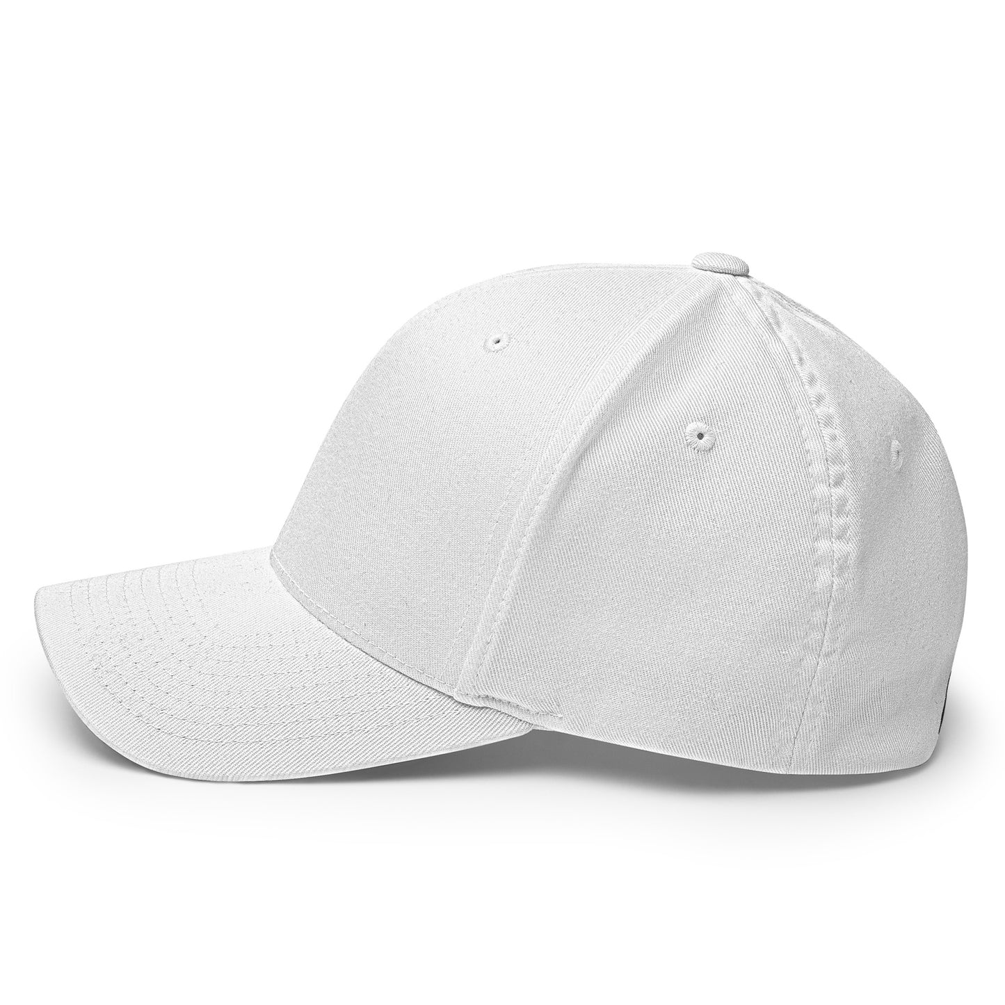 PLG (SL-Black) Flexfit Cap