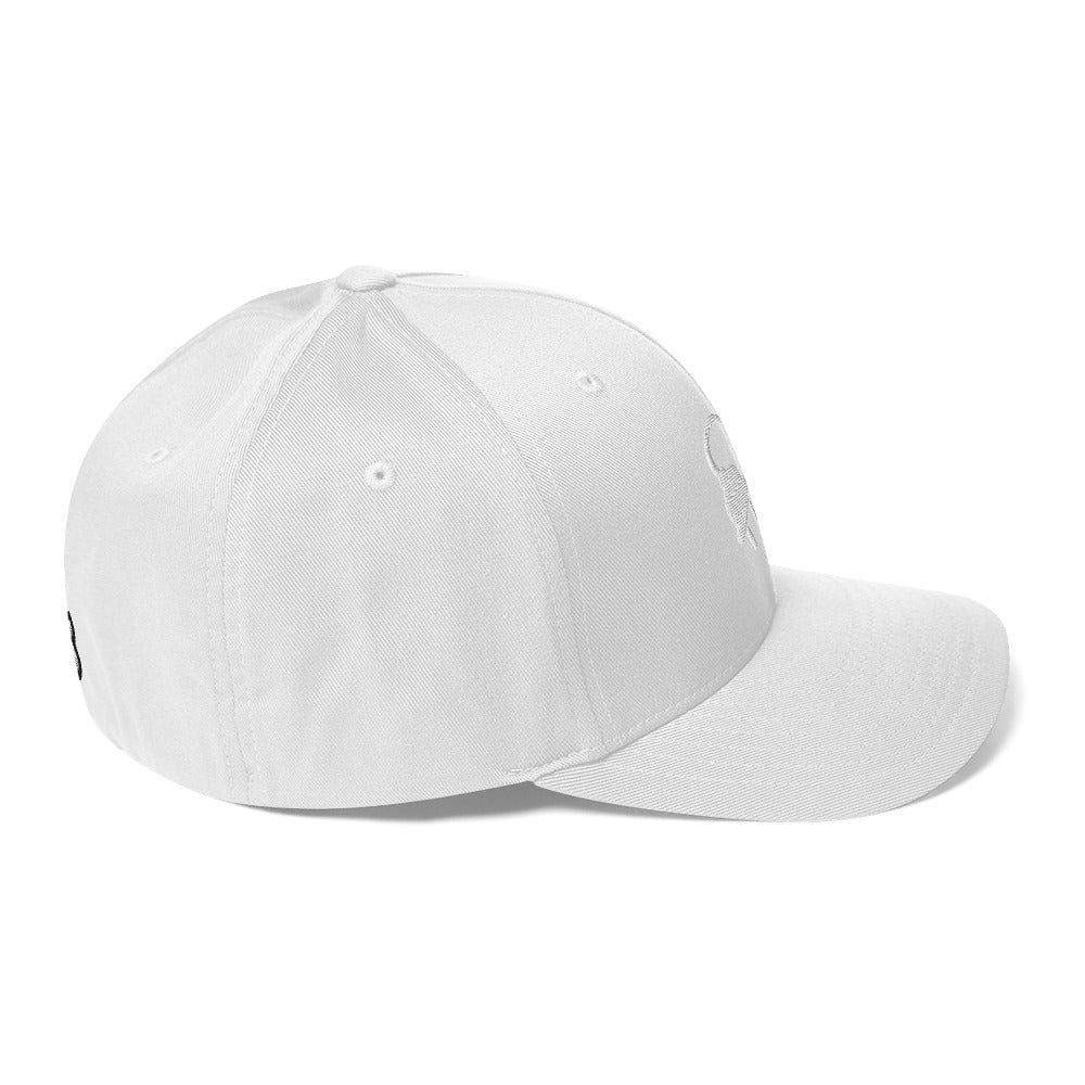 The Plug (White) FlexFit Cap