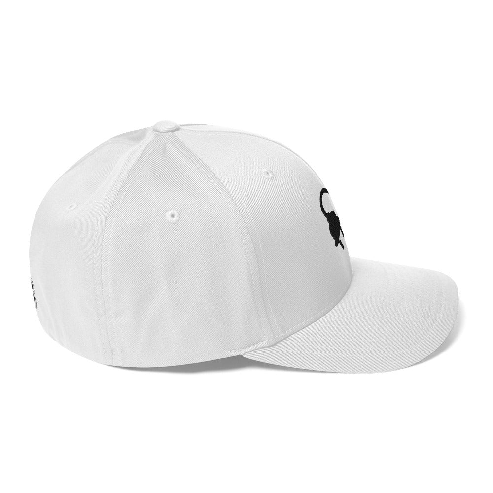 The Plug (Black) FlexFit Cap